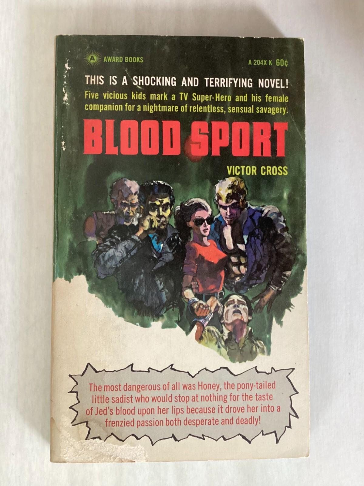 BLOOD SPORT - Victor Cross - THRILLER - JUVENILE DELINQUENTS KIDNAP TV ...