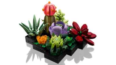 Lego Succulents 10309 Botanical Collection Minifigure Building Set  673419361620| eBay
