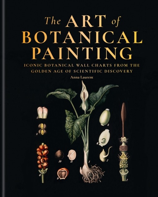 Art Of Botanical Painting