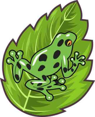 4in x 5in Green Poison Dart Frog Sticker Car Truck Vehicle Bumper Decal
