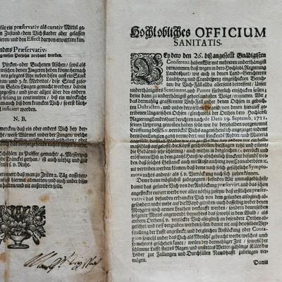 Officium sanitatis gegen die Rinderseuche Bayern 1711