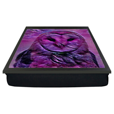 Eule Laptray Greifvogel Scheune Adler Wildtiere Kissen Laptop Runde Abendessen Tablett Geschenk