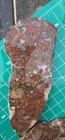 Banded agate multi colored /rhyolite  slab for Cabbing and jewelry making. — photo 6