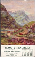 1912 MERRICOURT North Dakota Advertising Postcard CLOW & HENDRICKS General Store