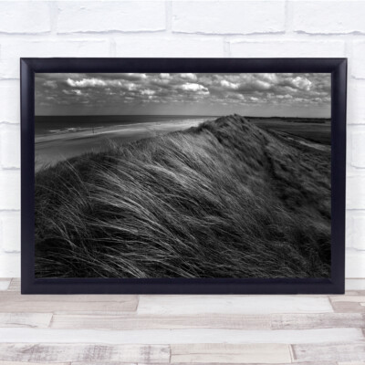 Gras Schilf Wind windig schwarz & weiß Küste Küste Strand Landschaft Ufer Druck