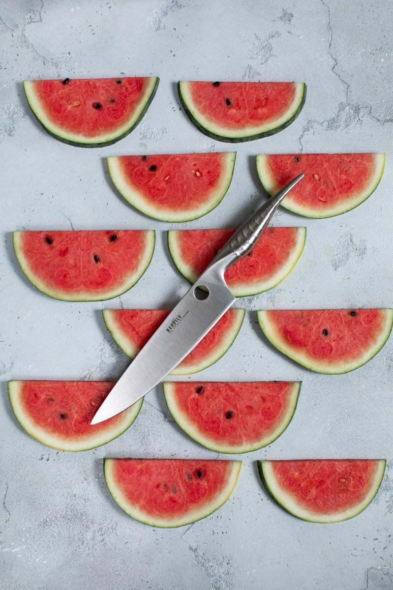 Samura Reptile Chef's Knife 7.9"/200mm SRP-0085 Chef's Knife
