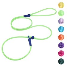 6 FT Dog Lead Classic Training Leash Lightweight No-Pull Slip Collar