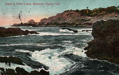 Postcard Scene at Point Lobos Monterey County CA Shore 