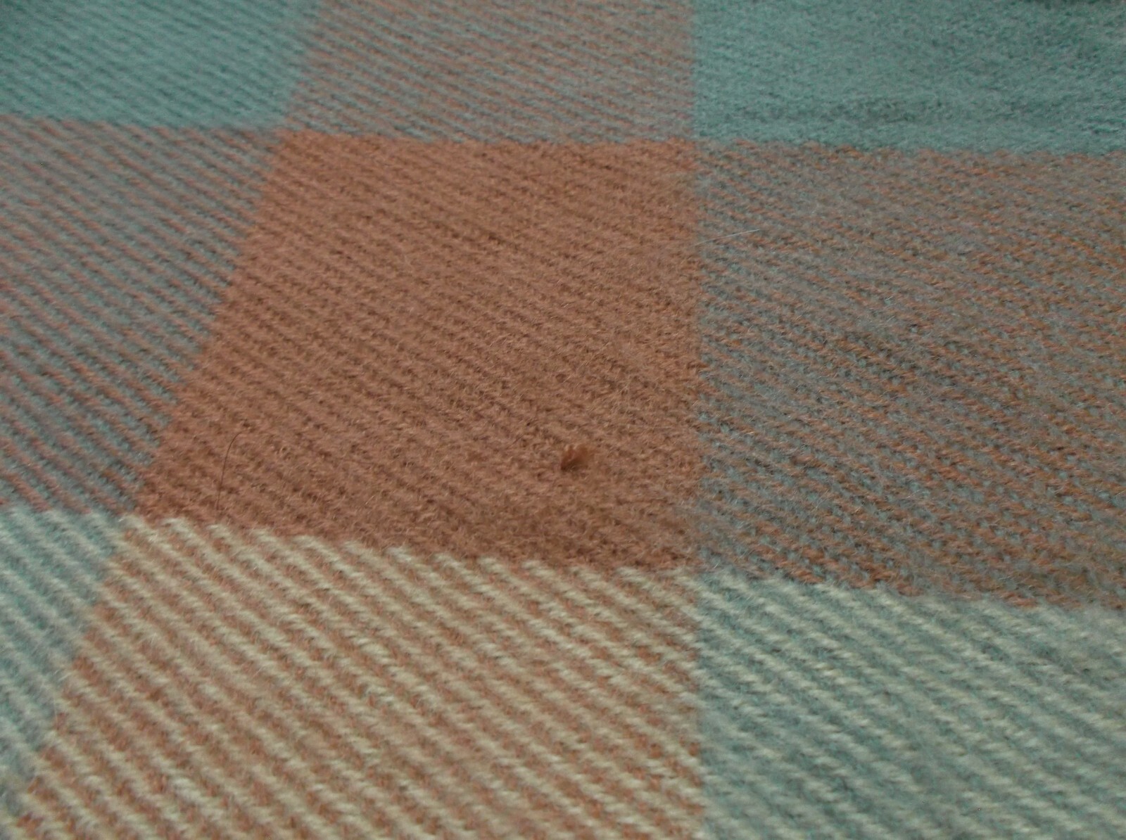 Picture 6 of 7