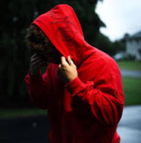 SELTEN YOUNGLA YOUNG LA SCHWARZ FÜR ALLE HUNDE BESTICKTES KRISTALL LOGO HOODIE L - Bild 2 von 8