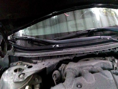 MAXIMA    2012 Cowl Vent Panel 1037642221