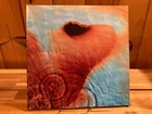PINK FLOYD - MEDDLE vinyl record lp 180g 2016 textured cover