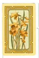 Single Vintage Playing Card U.S. Narrow Named "Daffodil" DA-1-2 A