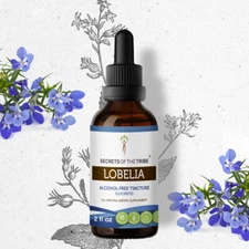 Secrets Of The Tribe Lobelia Tincture Alcohol-FREE