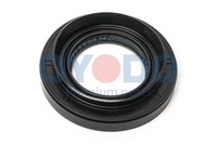 Oyodo Wellendichtring Differential 30P0306-OYO FüR Hyundai Santa FÉ 3 DM DMA LM