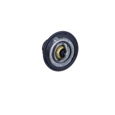 Thermostat Rover 216