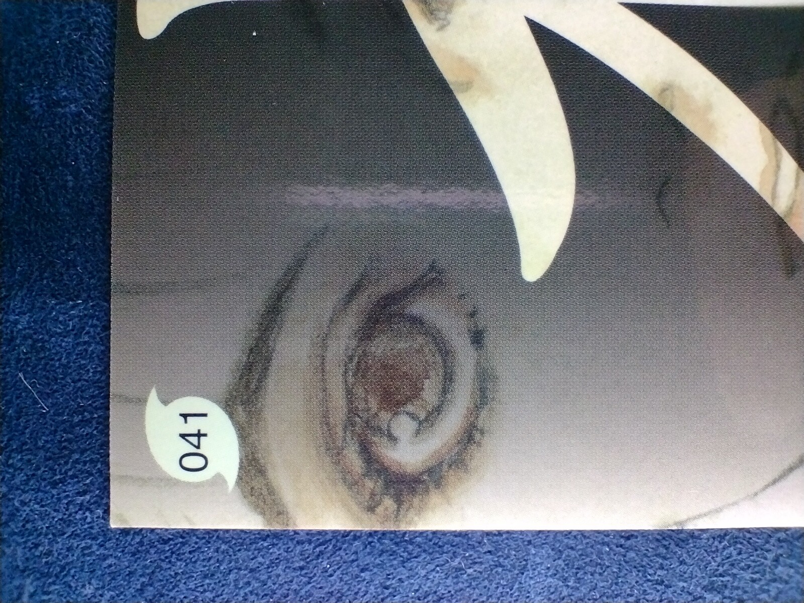 Picture 8 of 10