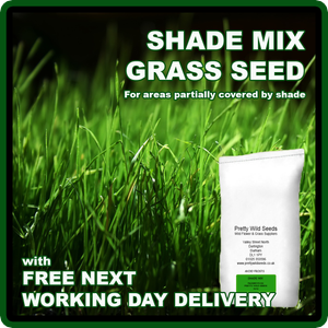 Grass Seed Shade Area Under Trampolines Trees Bushes Lawn Shady 1 To 100 Kg Ebay