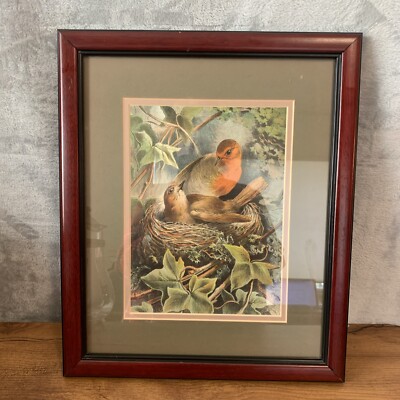 The Robin and its Nest  by Hector Giacomelli Framed Matted Chromolitho RARE