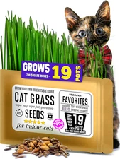 Indoor Cat Grass Kit  Easy Grow Fiber Nutrients Grows 19 Pots of Fresh Grass