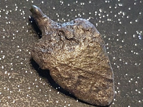 Exceptional post Med. bronze heraldic shield mount. A must read description L314