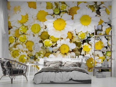 3D White Flowers Close-up Wall Murals Wallpaper Murals Wall Sticker