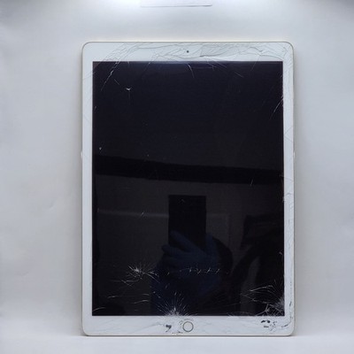 Apple iPad Pro 1 (12.9) A1584 32GB Gold (Wi-Fi) - 393U