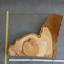 Brett 🍎 Apfel Baumscheiben Holzscheibe DEKO Apfelbaum Ca 40x27x2,8cm exclusiv