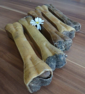 10 St. KAUKNOCHEN MIT PANSENFÜLLUNG 21 cm wie Kaustange Ochsenziemer kausnack24