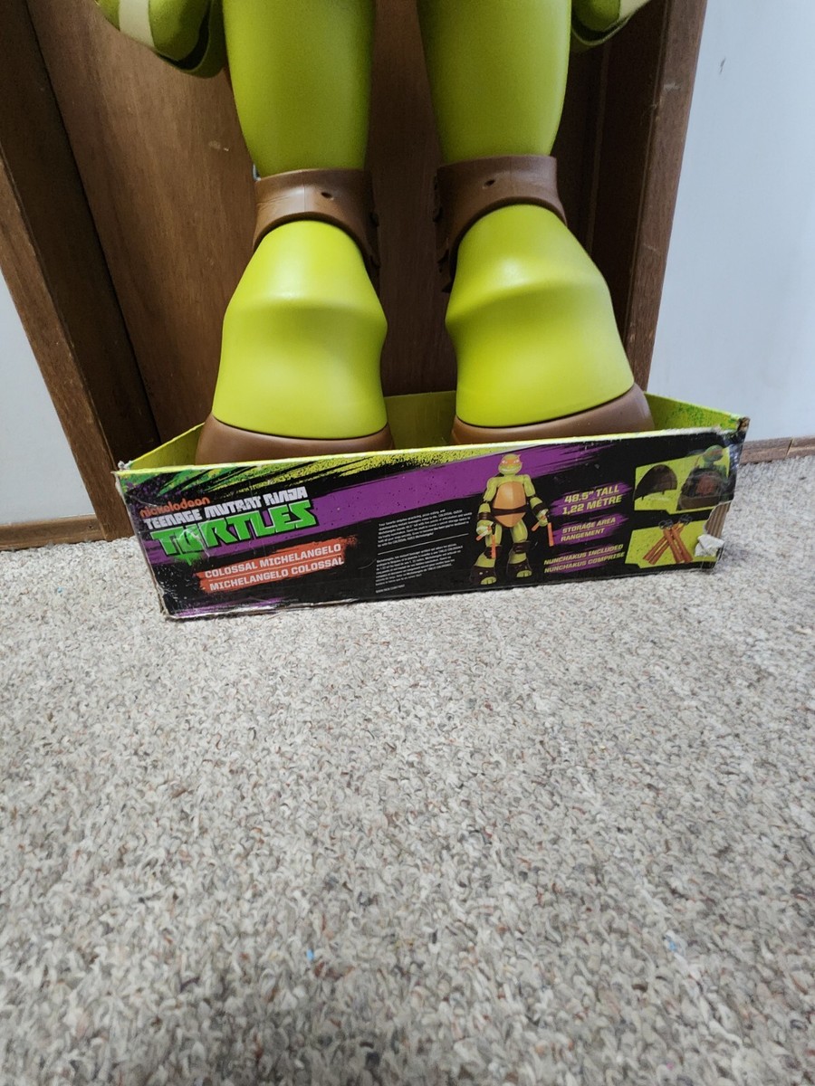 Colossal Michelangelo 48