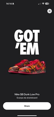Nike SB Dunk Low Pro The Wizard Of Oz