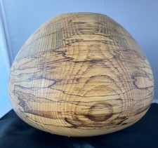 Breathtaking Spalted Sugarberry Vase Signed John Dodge Meyer Tornado Logic 20 Breathtaking Spalted Sugarberry Vase Signed John Dodge Meyer Tornado Logic 20
