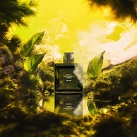 Mens Eau de Parfum Cypress Grape Profile Aftershave Warm Fragrance Scent 50ml