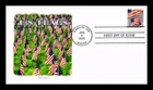 Dr Jim Stamps US Flags 2022 First Day Of Issue Panda Cachets Cover