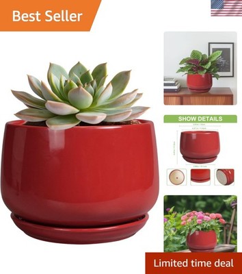 Ceramic Pot for Plants - 6 Inch Plant Pot with Drainage and Ceramic Tray, Mod...
