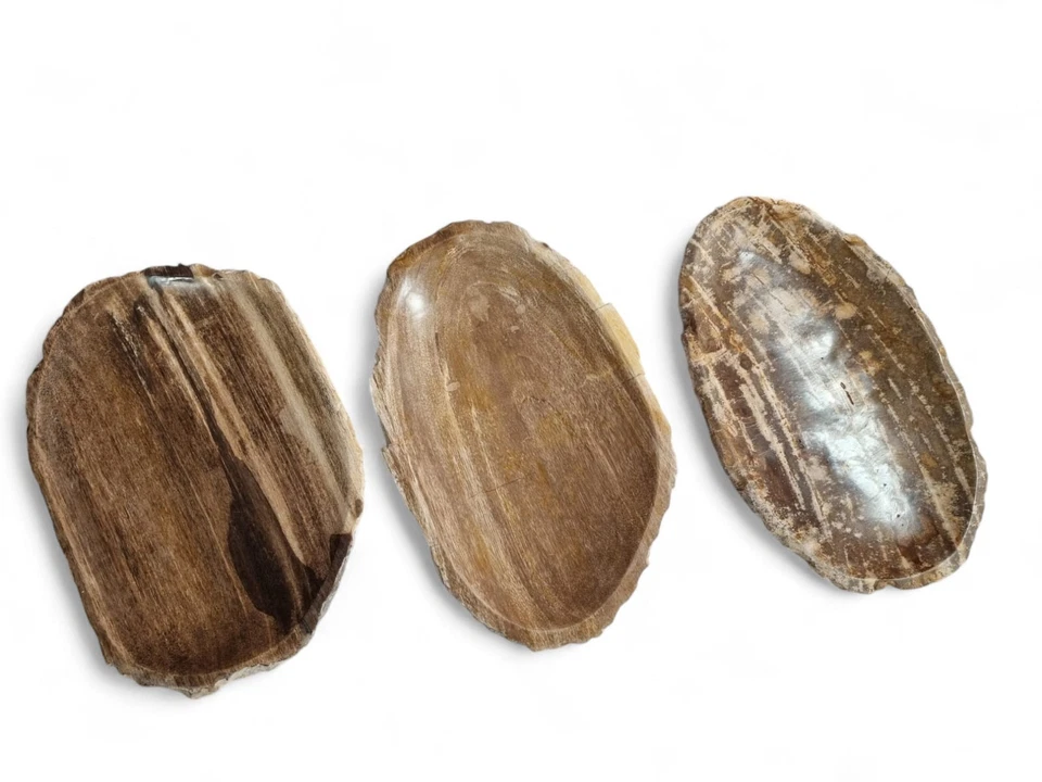 Bandeja de cuenco decorativo de madera fosilizada piedra natural rústico ovalado Foto 4 de 4