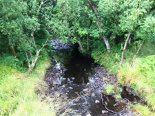 Photo 6x4 Ardilistry River Ardbeg/NR4146 A view of the river from the ro c2009