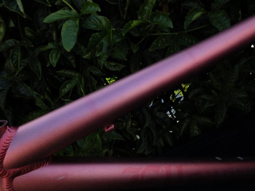 15.5" Ellsworth Truth MTB frame anodized pink w/ Float RP23, Salsa clamp - Picture 15 of 19