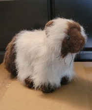 GANZ Webkinz Himalayan Cat Plush - No Code - Retired Stuffed Animal