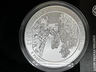 2013-P Great Basin 5 oz Silver Quarter .999 Fine ATB US Mint Burnished