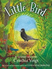 Little Bird - Paperback By Voigt, Cynthia - GOOD