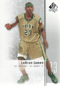 lebron james st vincent st mary