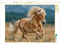 Calvendo Puzzle Freedom Begins Where The Wind Carries The Mane | 1000 Pieces, Fi