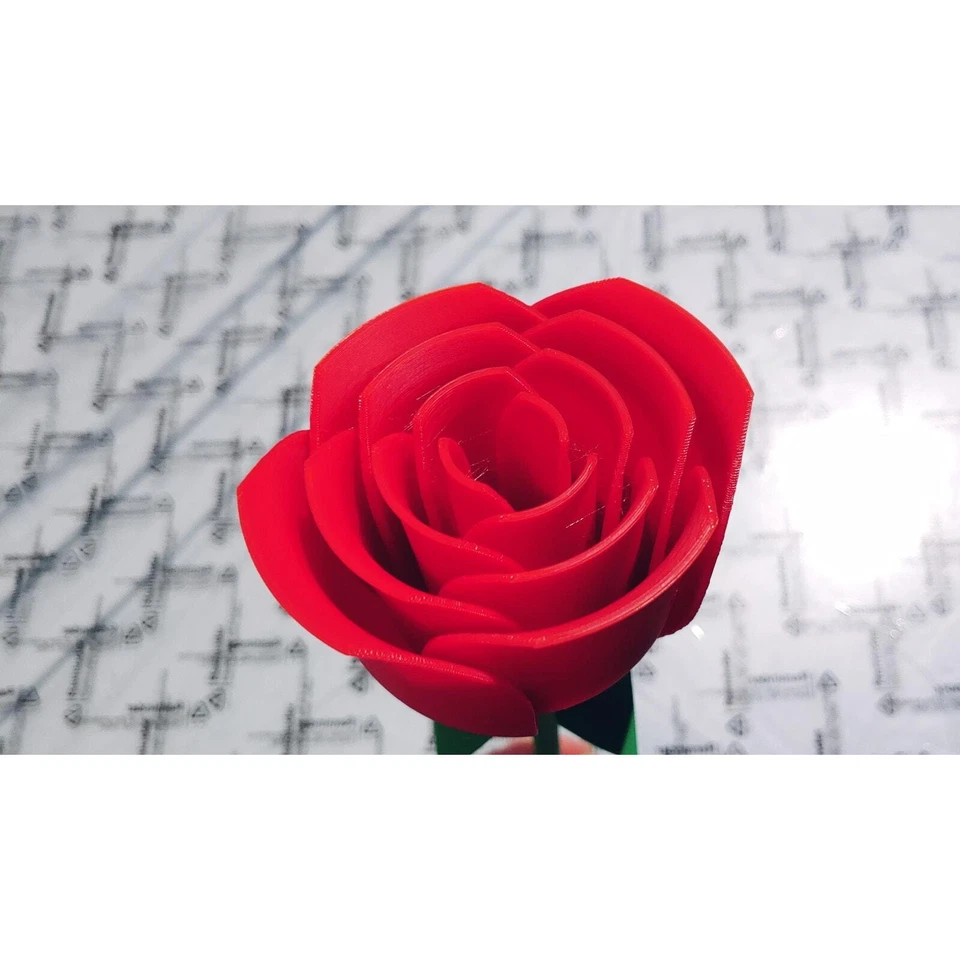 Rosa impressa em 3D - Presente exclusivo de Dia dos Namorados para ela, romântico eterno - Imagem 3 de 4