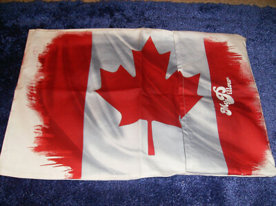 MY PILLOW GO ANYWHERE CANADA CASE WASH DRY AS SEEN ON TV NEW - Main Image