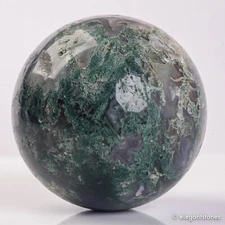 1306g99mm Moss Agate Sphere Crystal Natural Aquatic Plant Water Grass Reiki Ball