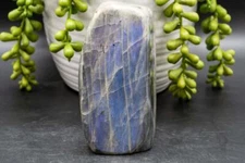 Labradorite Free-Form - Purple/Blue Flash 2"x4"