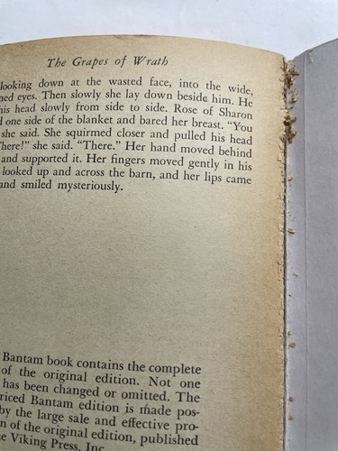 John Steinbeck the Grapes of Wrath 1951 Vintage Paperback - Picture 10 of 11