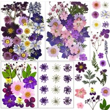 92 Pcs Purple Dried Pressed Flowers Real Natural Leave Petals for DIY Resin C...