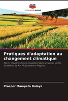 Prosper Mampeta Bulaya | Pratiques D'adaptation Au Changement Climatique | Buch